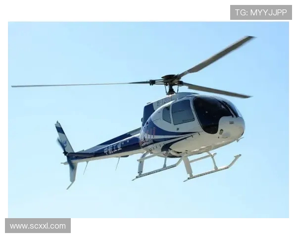 直升机在海上飞行的平台降落引导