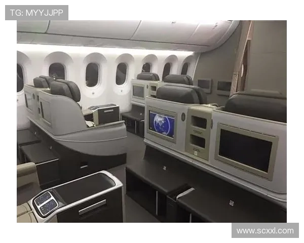 飞机客舱内部装修的轻量化夹层结构