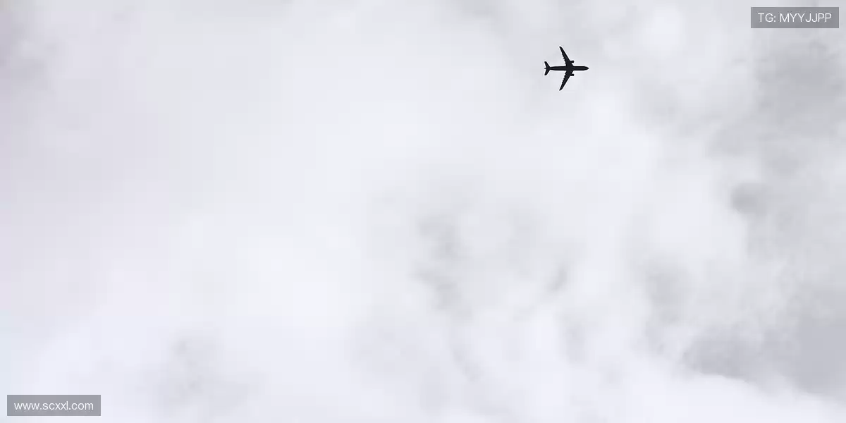 🔧 每次起降都流畅无比，精准响应每一次指令，🎯